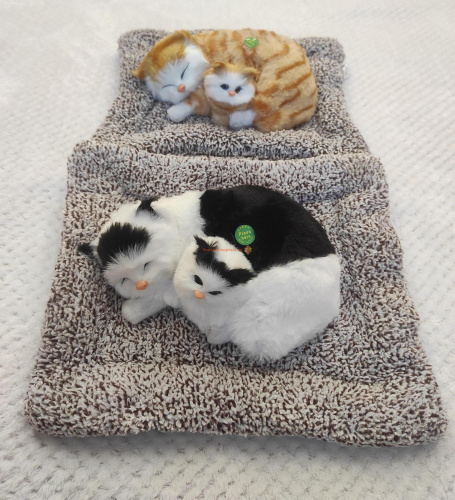 "Кошка с котенком" во Биробиджане