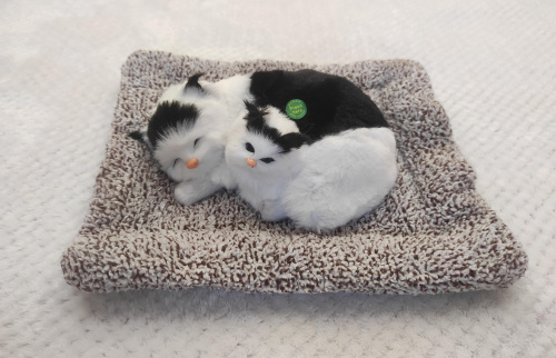"Кошка с котенком" во Биробиджане фото 2