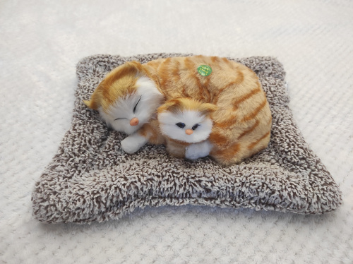 "Кошка с котенком" во Биробиджане фото 3