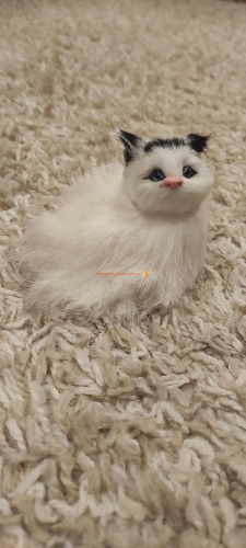 Кот из меха 2 во Биробиджане