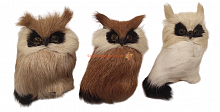 Сова № 2 во Биробиджане